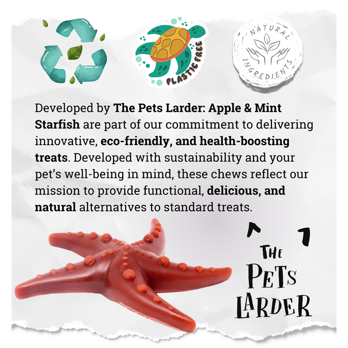 Apple & Mint Starfish - Natural Dog Chew