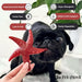 Apple & Mint Starfish - Natural Dog Chew