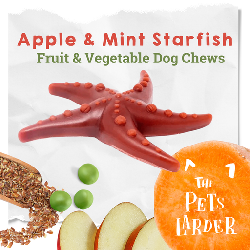 Apple & Mint Starfish - Natural Dog Chew