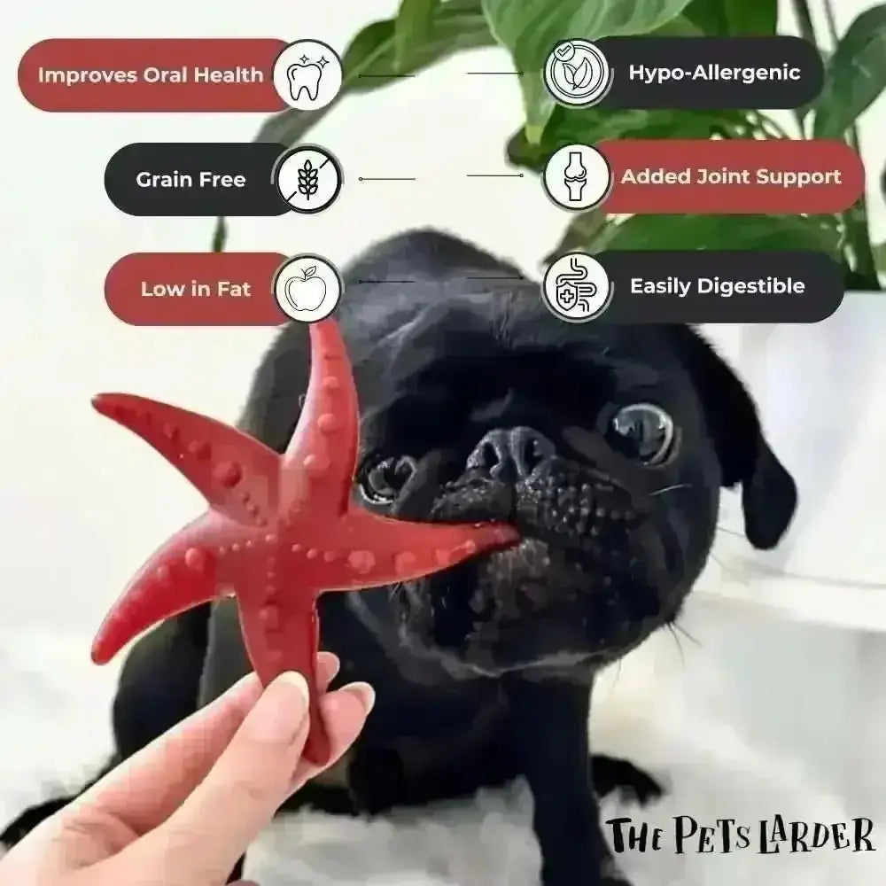 Red starfish-shaped dog chew toy with textured surface from Apples & Mint promotes fresh breath