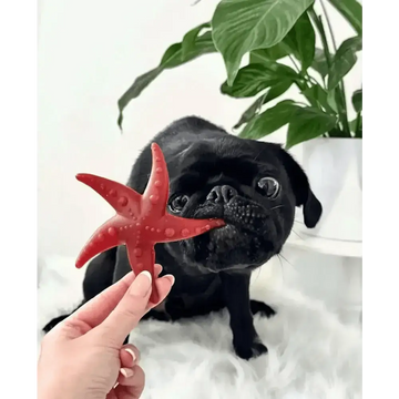 files/apple-mint-starfish-natural-dog-chew-pet-shop-328.webp