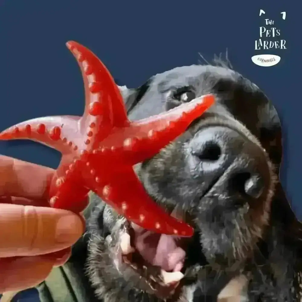 Red starfish-shaped dog toy with textured surface and suction cup promotes fresh breath
