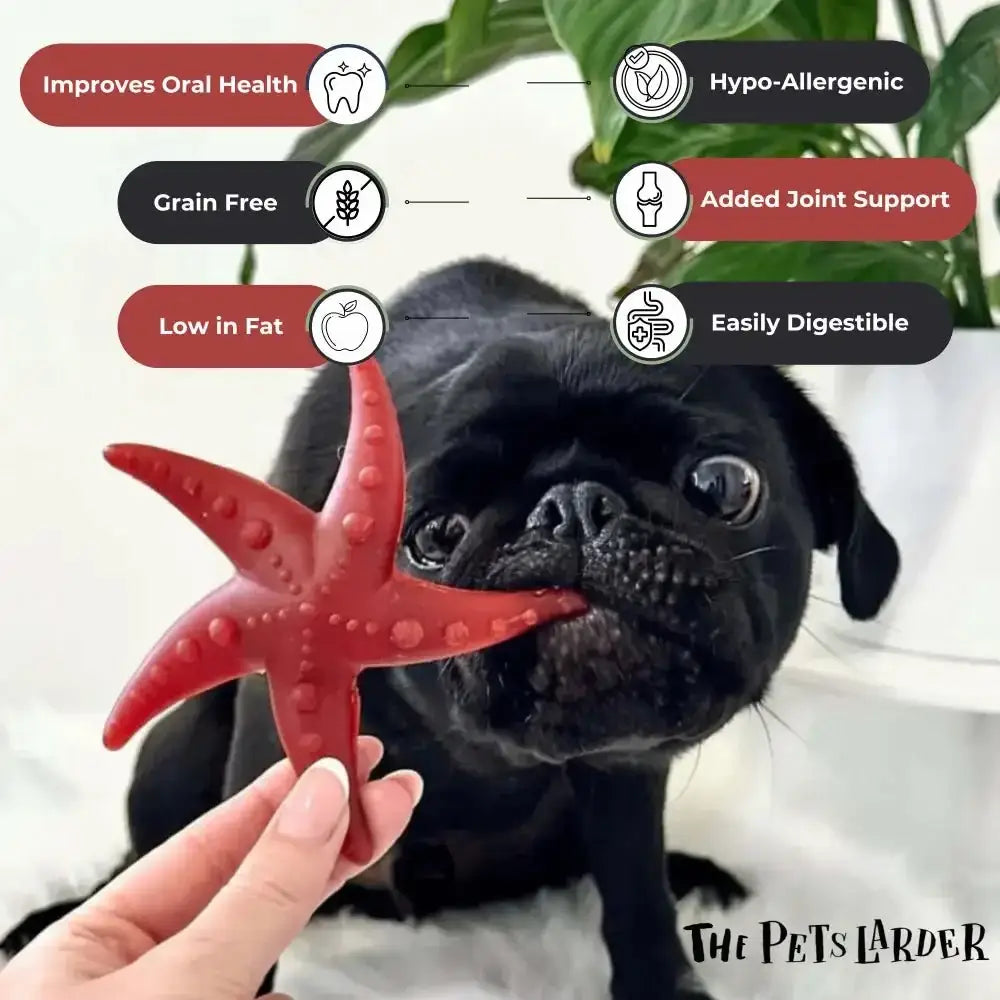 Red starfish-shaped dog chew toy with textured surface from Apples & Mint promotes fresh breath