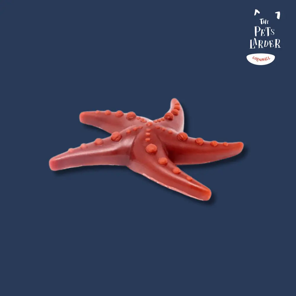 Coral starfish toy with suction cups, durable rubber material from Apple & Mint Starfish x 6 promoting fresh breath
