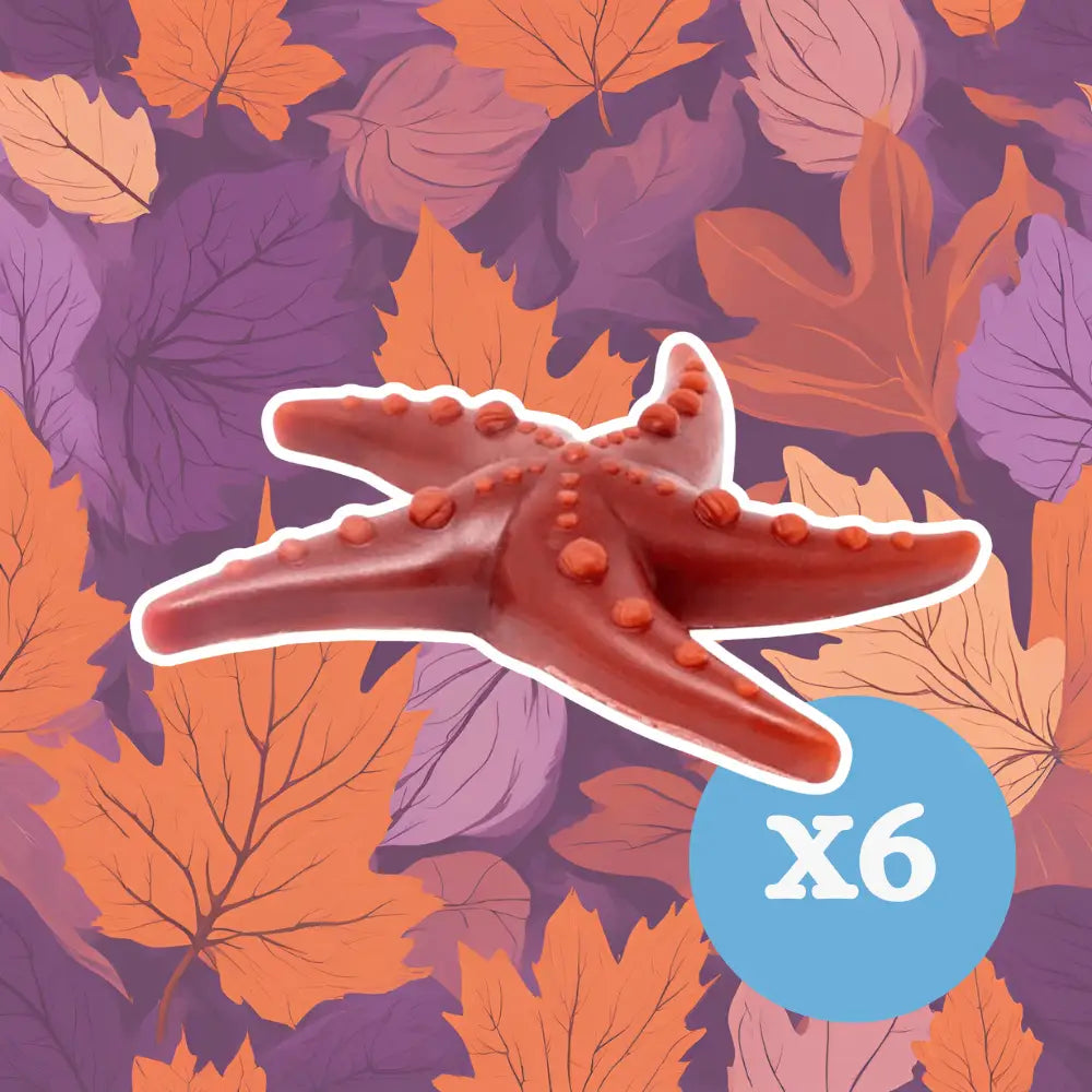 Apple & Mint Starfish x 6 - Natural Dog Chew