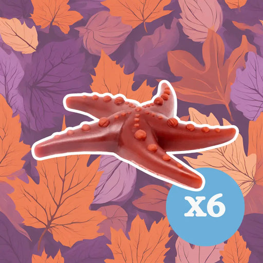 Apple & Mint Starfish x 6 - Natural Dog Chew
