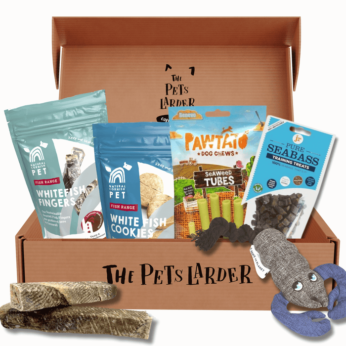 At The Seaside Treat & Toy Gift Bundle For Dogs