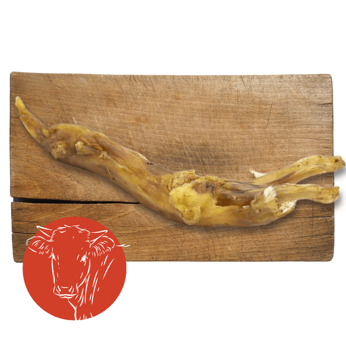 Beef Achilles Tendon natural dog chew from The Pets Larder Natural Pet Shop.