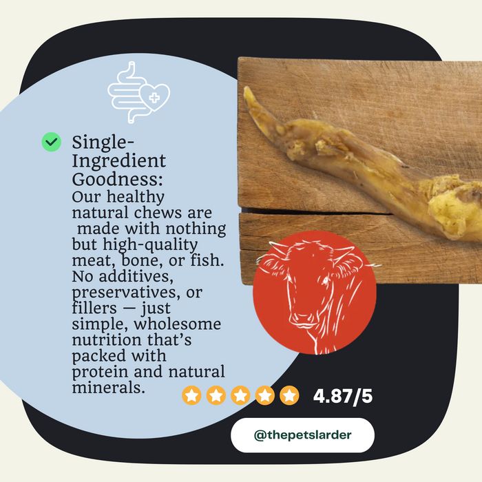 Beef Achilles Tendon Natural Meat Chew For Dogs - Natural Dog Chew