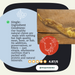 Beef Achilles Tendon Natural Meat Chew For Dogs - Natural Dog Chew