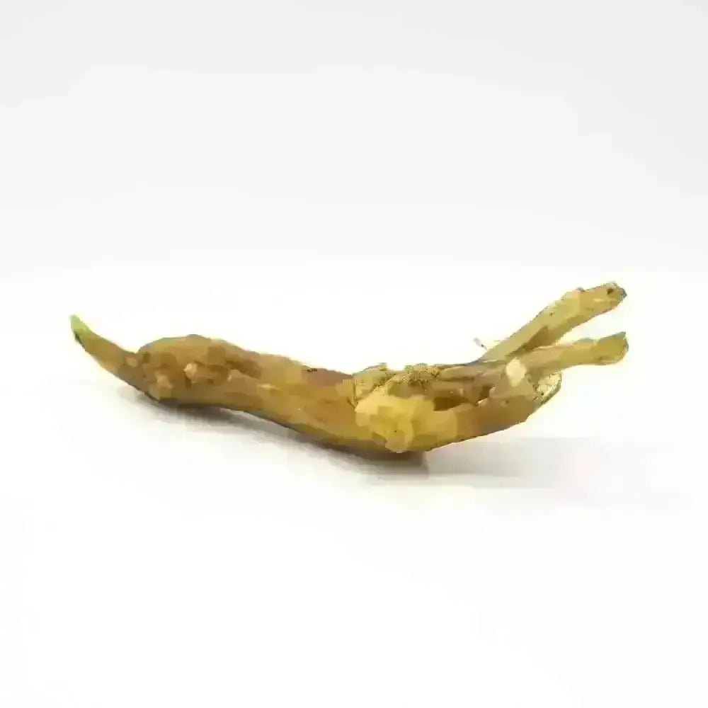 Ginger root natural dog chew for dogs with earthy texture