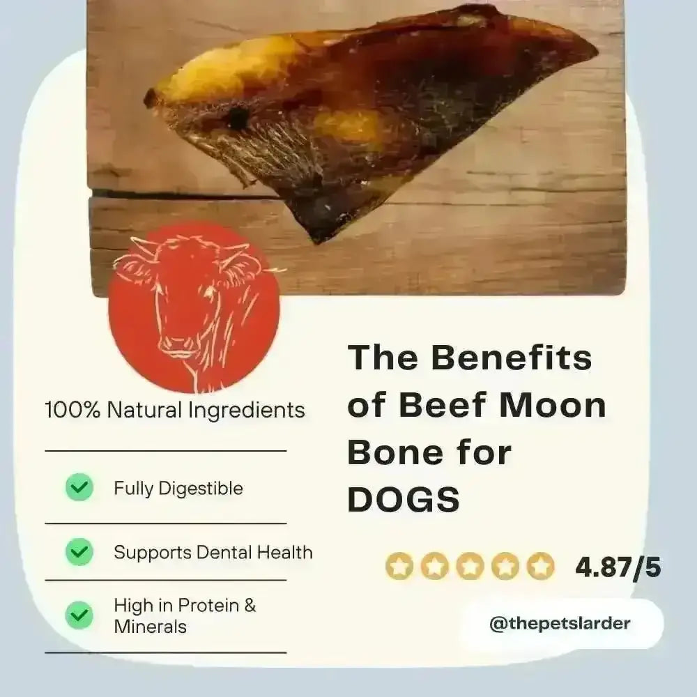 100% natural beef moon bones for dogs, fully digestible and nutrient-rich