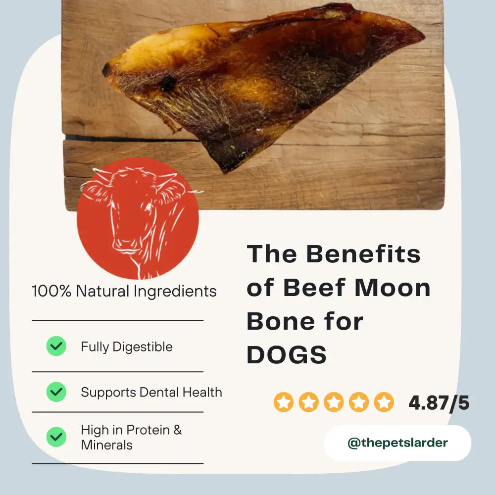 100% natural beef moon bones for dogs, fully digestible and nutrient-rich