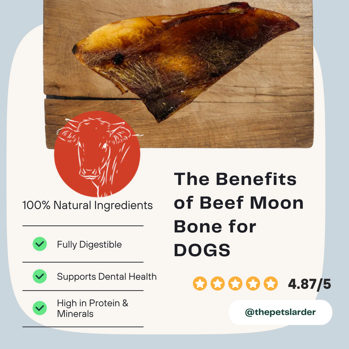 Beef Moon Bone Natural Chew for Dogs - Natural Dog Chew