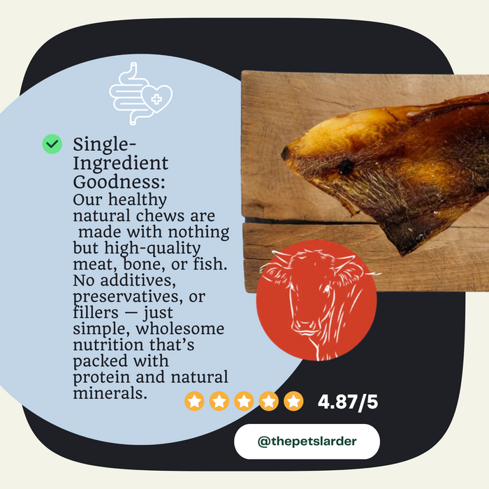 Beef Moon Bone Natural Chew for Dogs - Natural Dog Chew