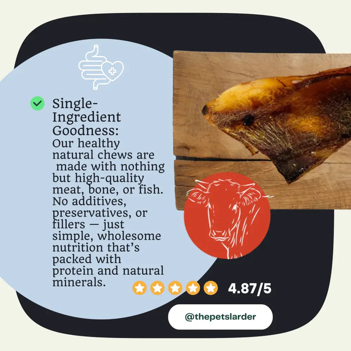 Beef Moon Bone Natural Chew for Dogs - Natural Dog Chew