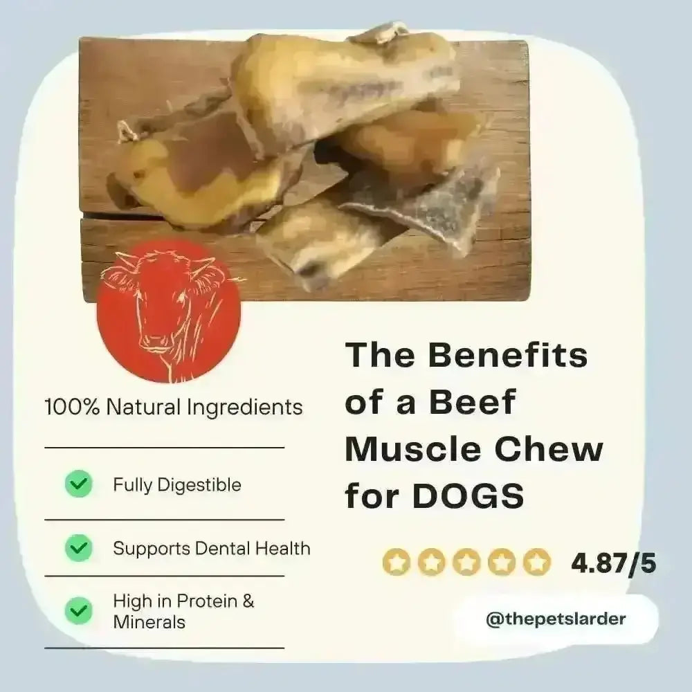 Natural beef muscle pieces chew for dogs, digestible and high in protein and minerals