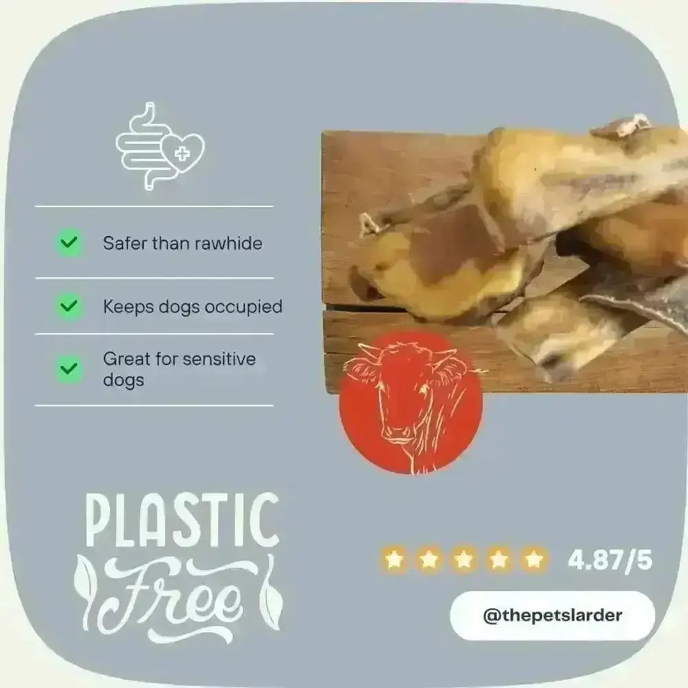 Plastic-free beef muscle chew toy for dogs with natural rubber, yellow and brown hues