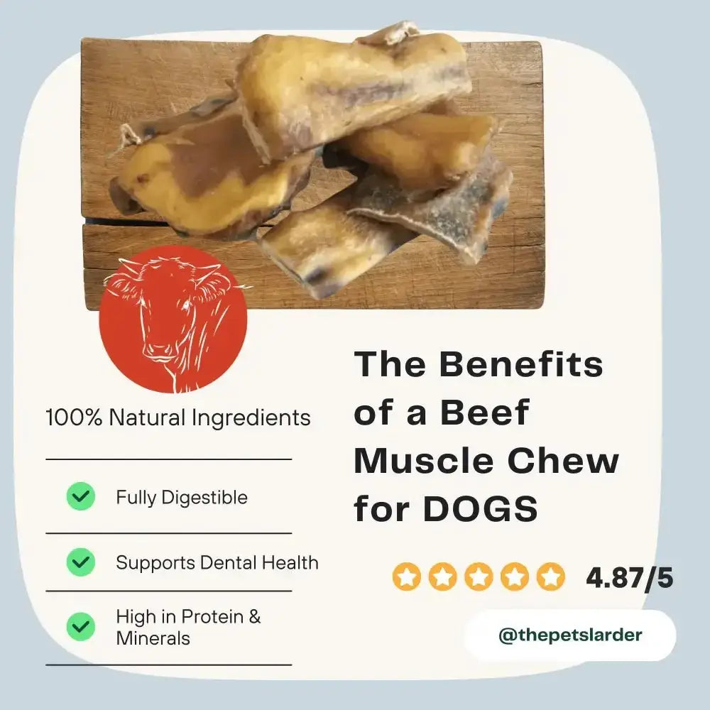 Natural beef muscle pieces chew for dogs, digestible and high in protein and minerals