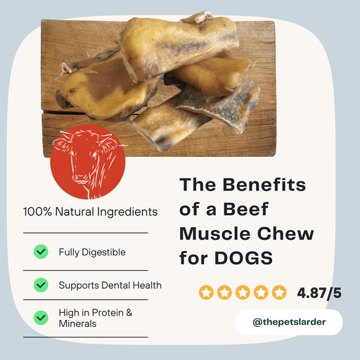 Beef Muscle Chew Natural Meat Chew For Dogs - Natural Dog Chew