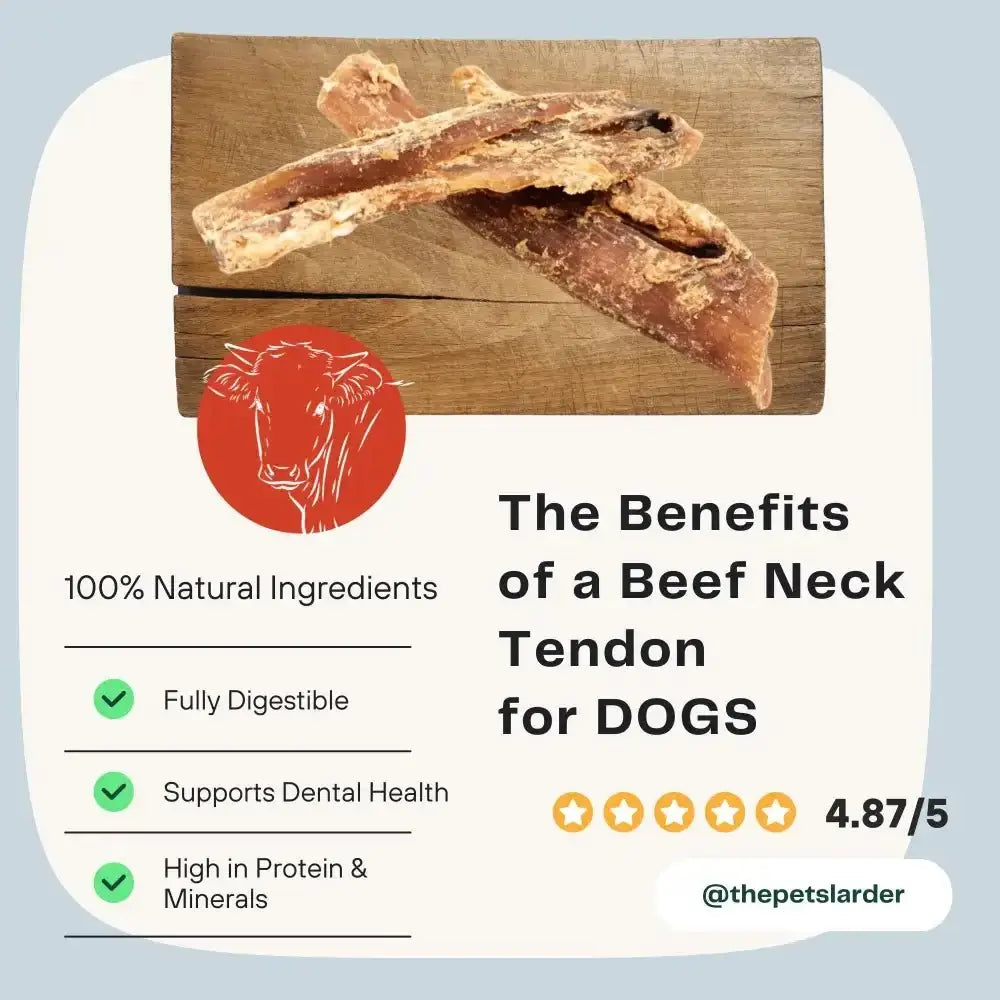 Natural beef neck tendon chew for dogs high in protein and minerals