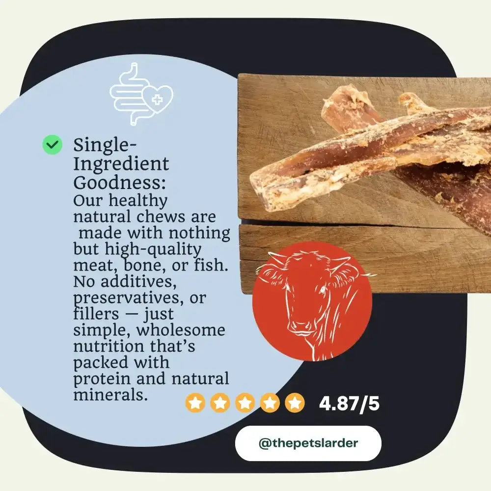 Natural beef neck tendon chew for dogs with textured surface and bone-like structure