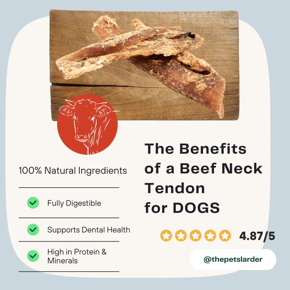 Beef Neck Tendon Natural Meat Chew For Dogs - Natural Dog Chew