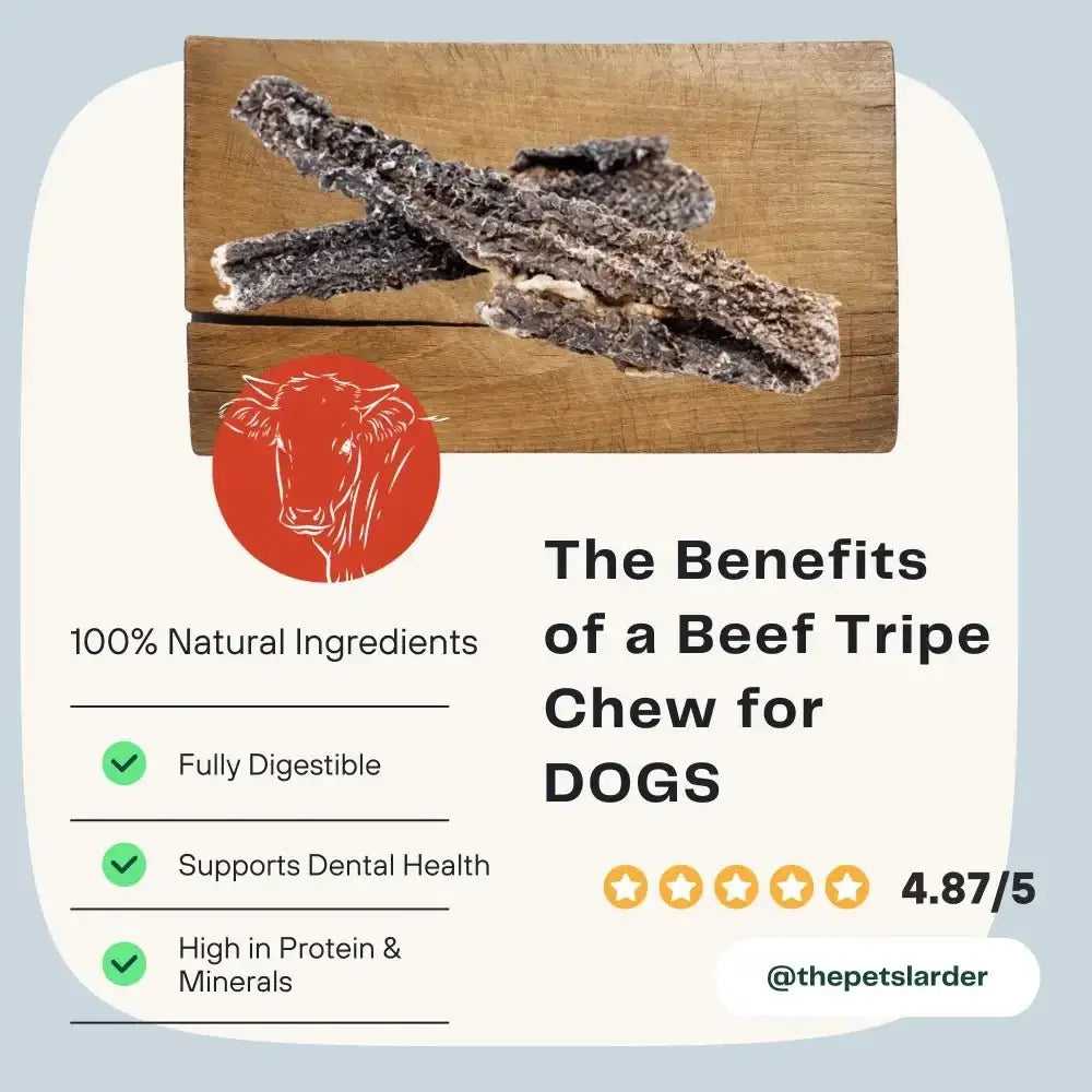 100% natural beef tripe chew for dogs, high in protein and minerals