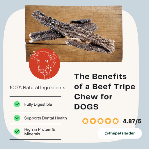 Beef Tripe Chew Natural Meat Chew For Dogs - Natural Dog Chew