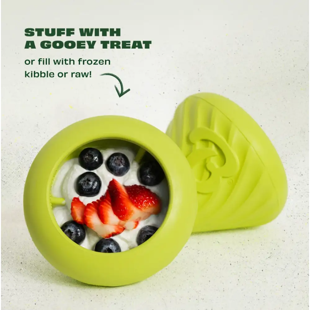 Benebone Bounce Cone - Dog Toys