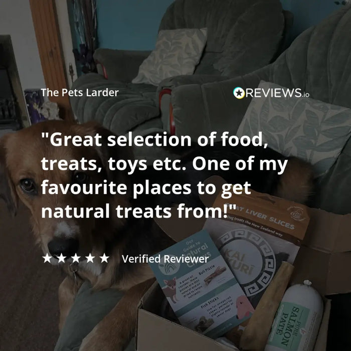 Benevo Pawtato Tubes with Seaweed Vegan Dog Chew - Box of 6 - Natural Dog Chew