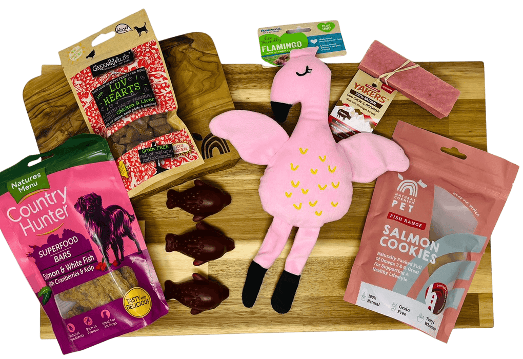 Best Selling Monthly Treat Subscription Box for Dogs