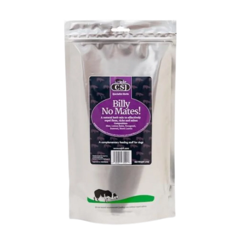 CSJ Billy No Mates