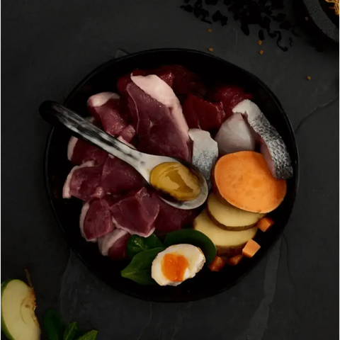 Canagan Country Game cat food with raw meat, potatoes, eggs