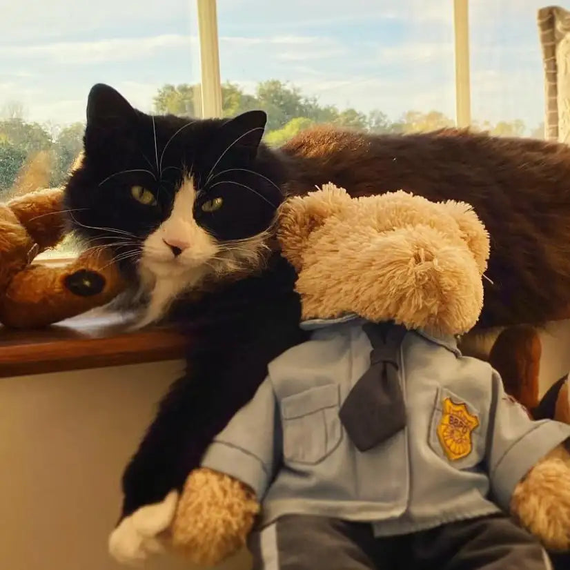 A black and white cat with striking green eyes rests comfortably beside a tan plush teddy bear dressed in a gray police uniform.