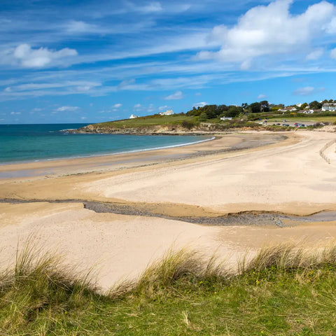 Daymer Bay accepte les chiens