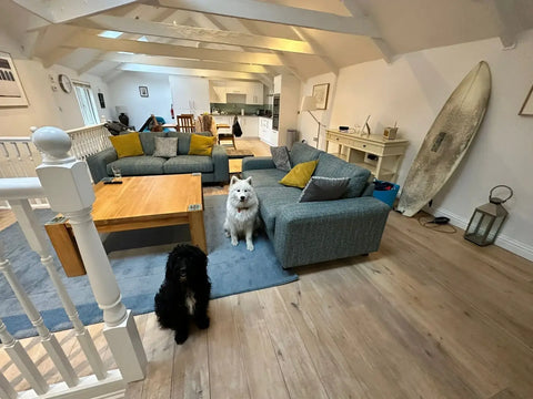 Dog Friendly Sail Lofts St. Ives