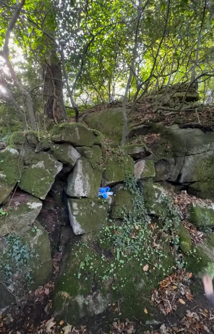 Blue plastic bottle with green moss-covered rocks and trees in the background.