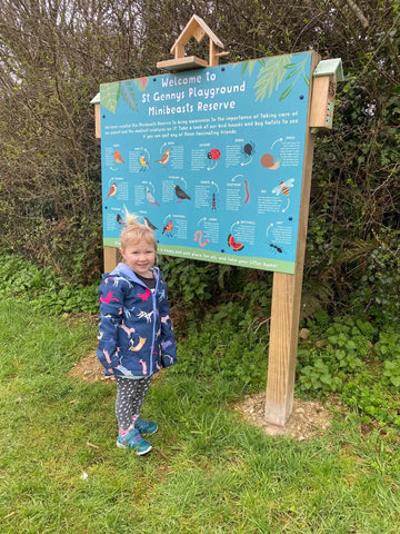 Bug Hotels and Bird House Community Project