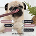 Blueberry Clover Chew For Dogs - 2kg Bag - Natural Dog Chew