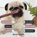 Blueberry Clover Chew For Dogs - Natural Dog Chew