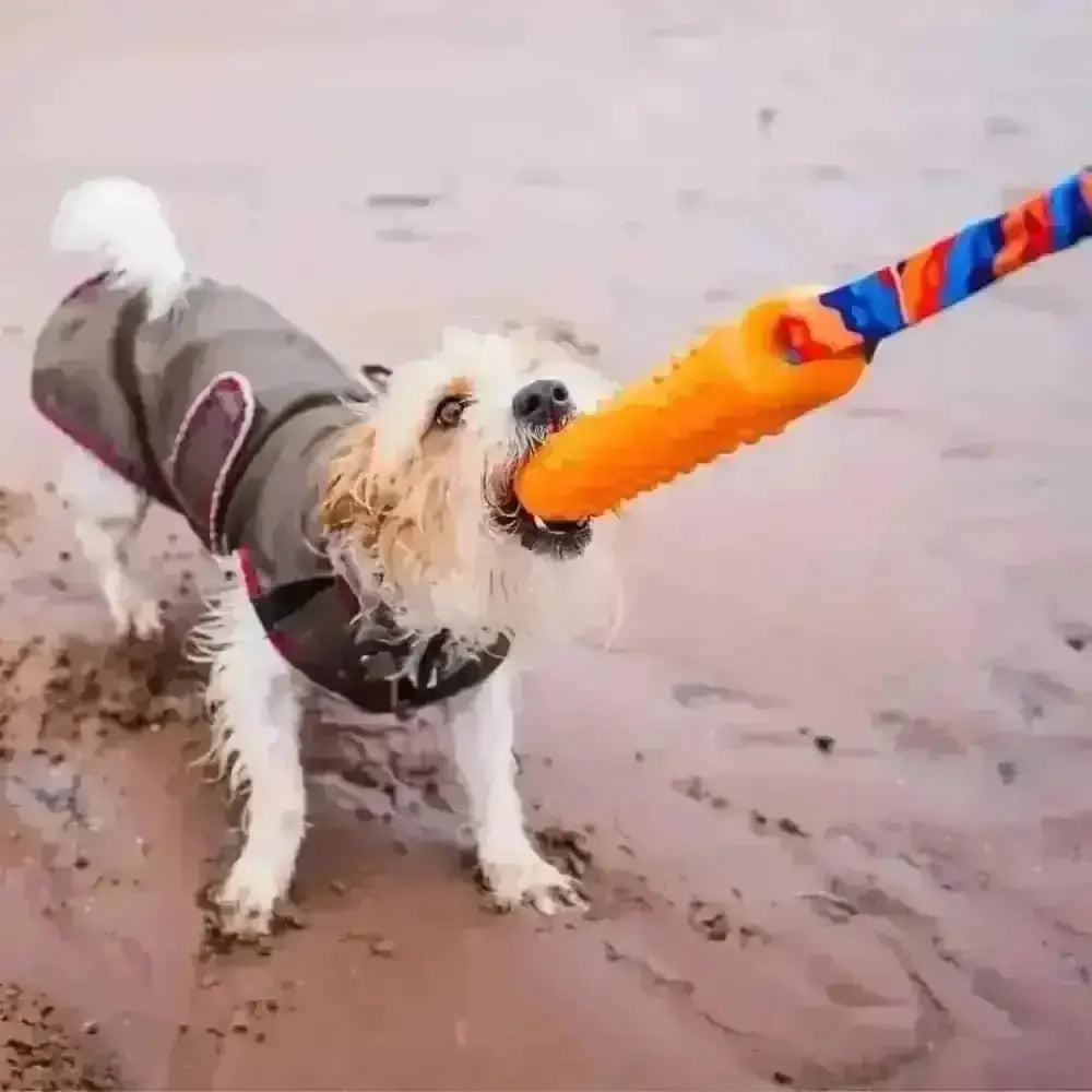 Orange and blue rope dog toy with textured grip for durability, ideal as a dog dummy