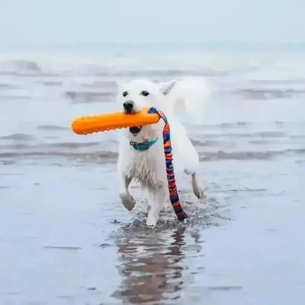 Orange rubber dog dummy with striped rope handle, durable chew-resistant material for BOB dog toy