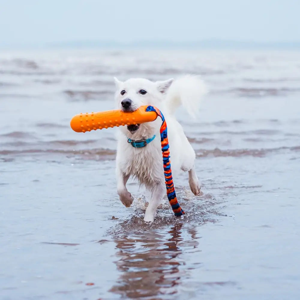 Orange rubber dog dummy with striped rope handle, durable chew-resistant material for BOB dog toy
