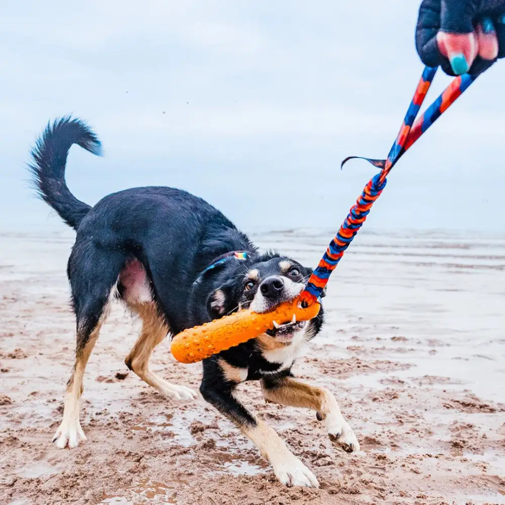 Orange dog dummy toy with rope handle for BOB 3-in-1 dog dummy training equipment