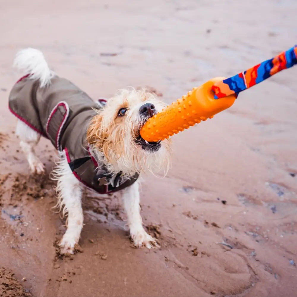 Orange and blue rope dog toy with textured grip for durability, ideal as a dog dummy