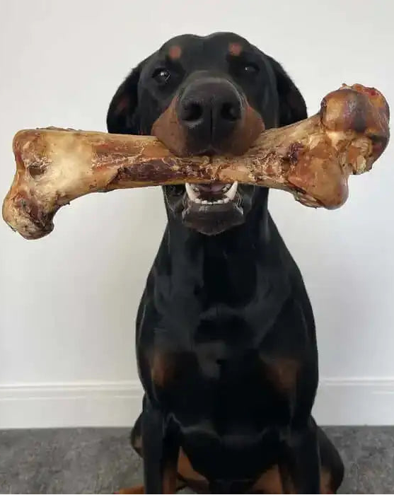 The Pets Larder