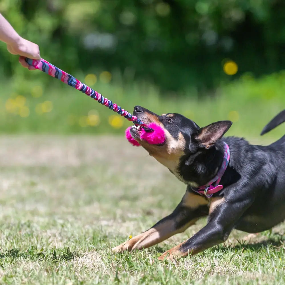 Bright Fauxtastic Tug - Bungee Tug Toy