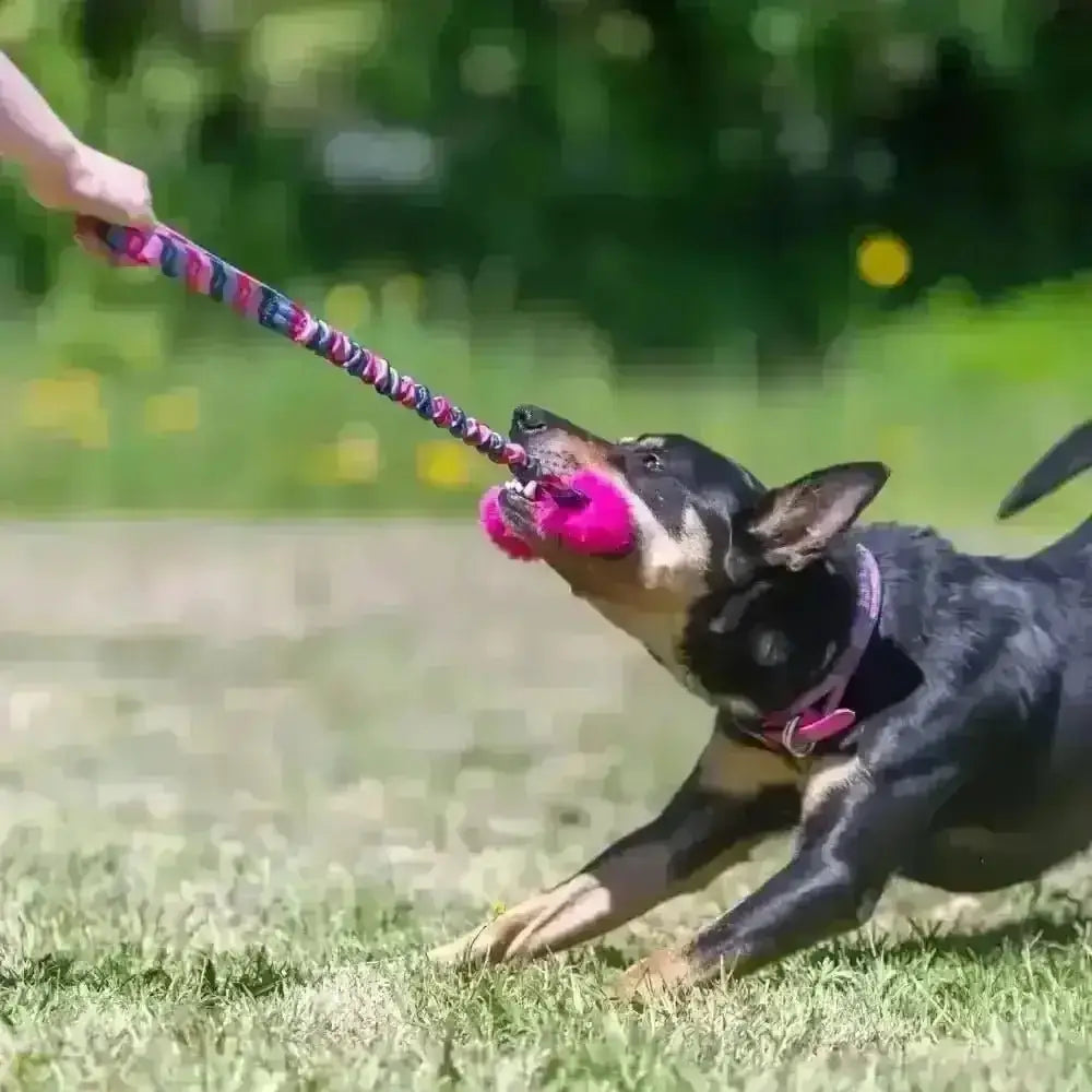 Pink plush dog toy with rope handle for tug-of-war play from Bright Fauxtastic Tug
