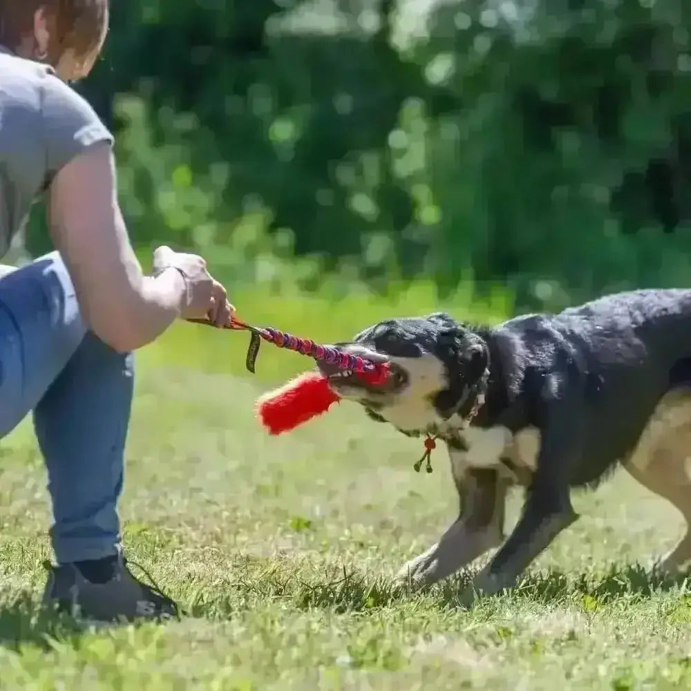 Bright Fauxtastic Tug dog toy with red and black rope, durable nylon, perfect for play hard